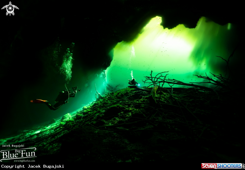 A Cenotes