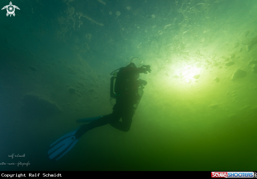 A icedive