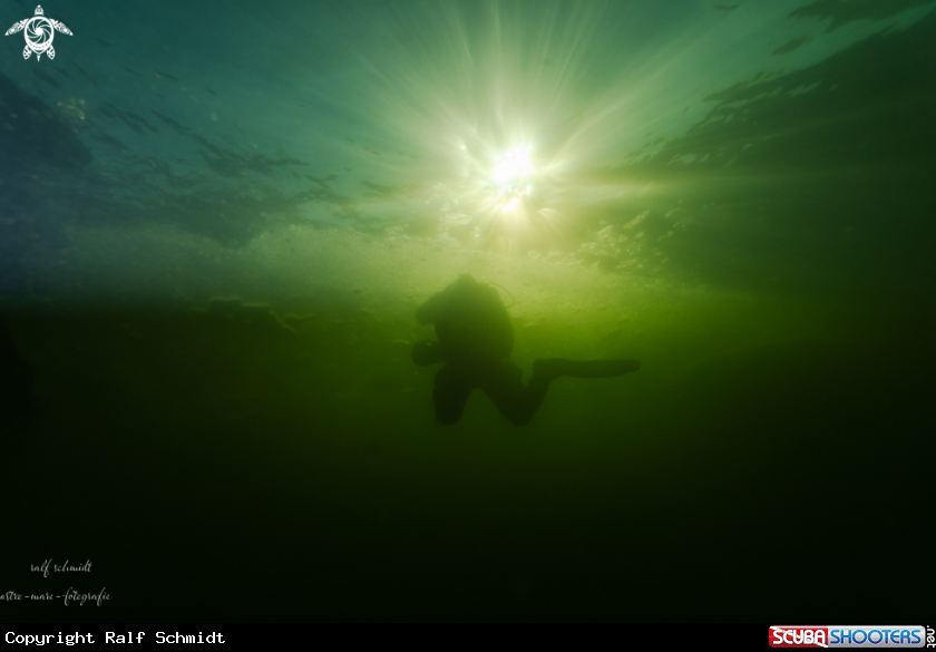 A icedive