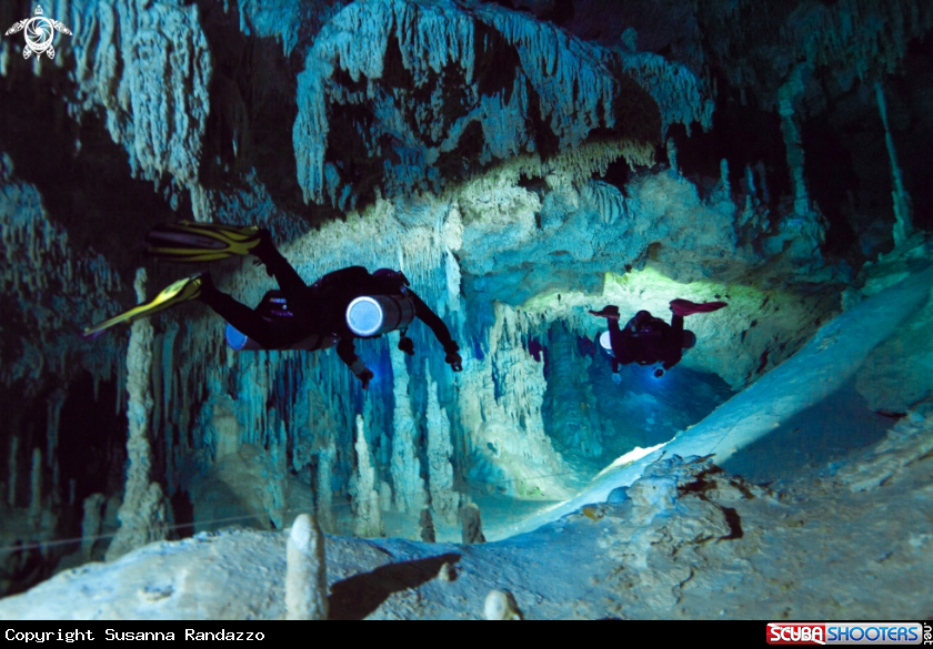A Cenote Coop One