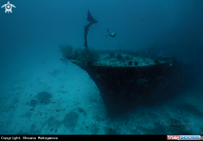 A Kuda giri wreck, south Male Atoll