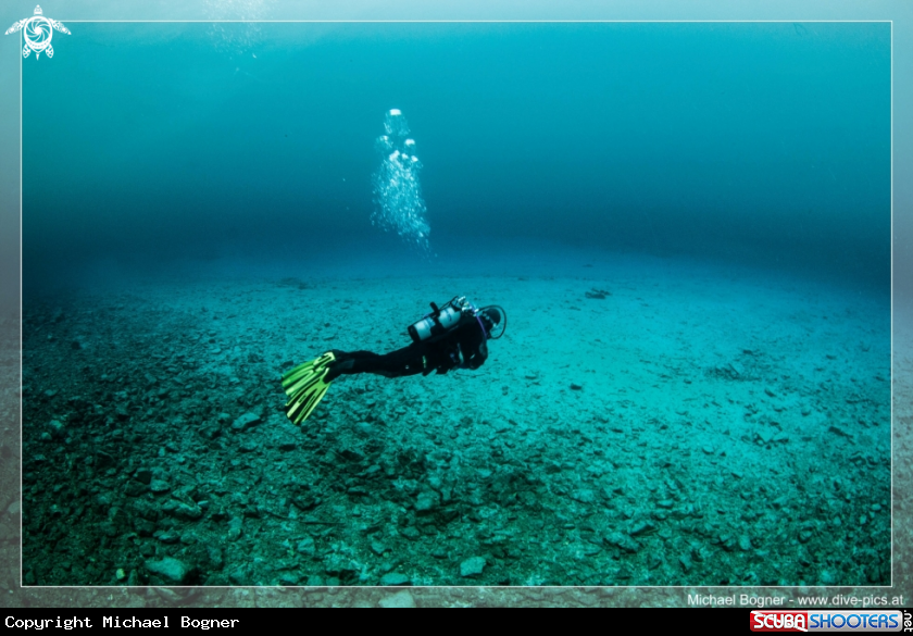 A underwater creature