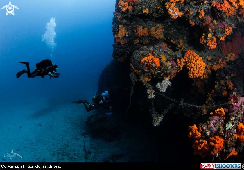 A Human-reef