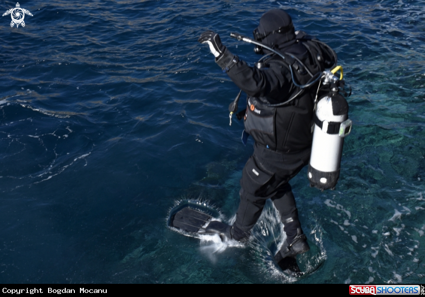 A Scuba Diver