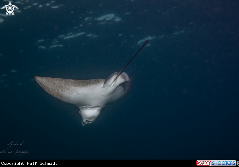 A Baa Atoll
