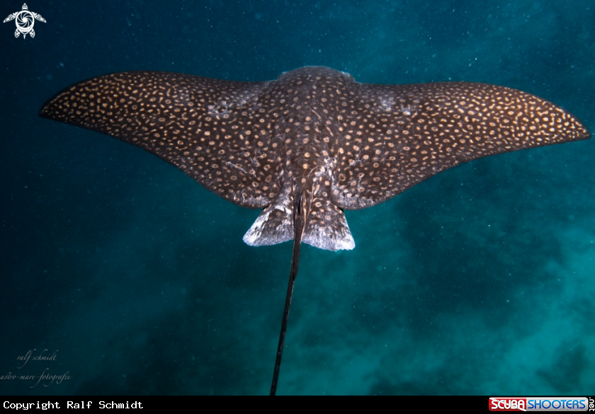A Baa Atoll
