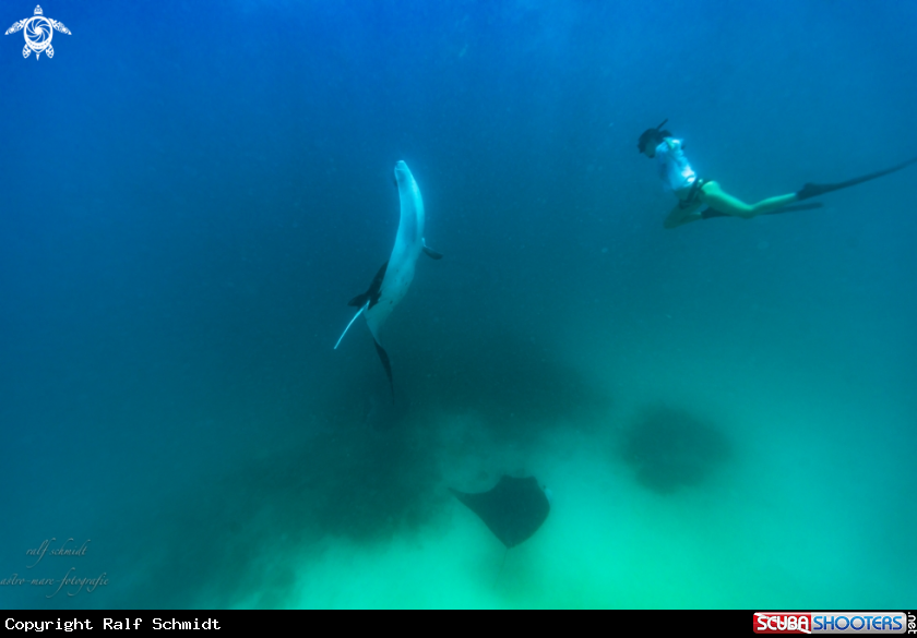 A Baa Atoll