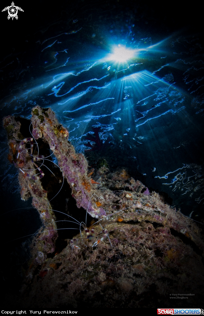 A underwater