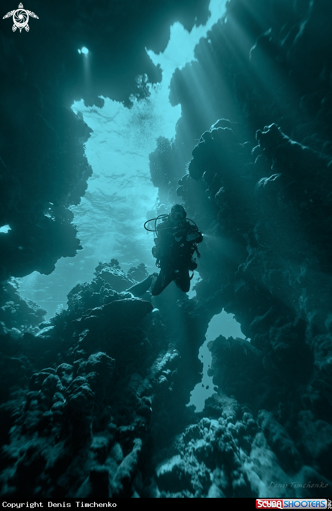 A DIVER