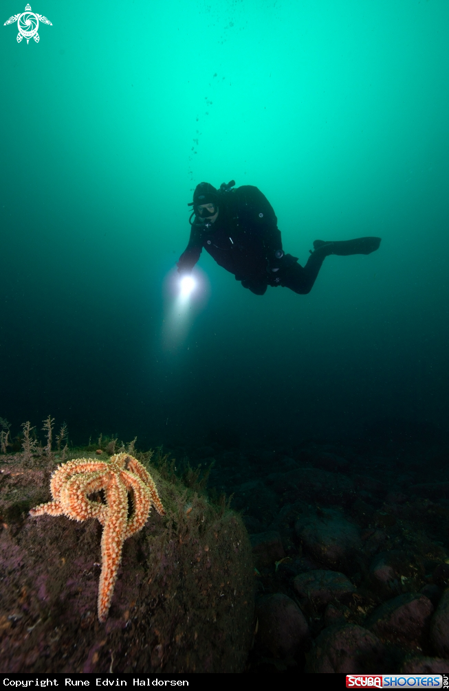 A Diver 