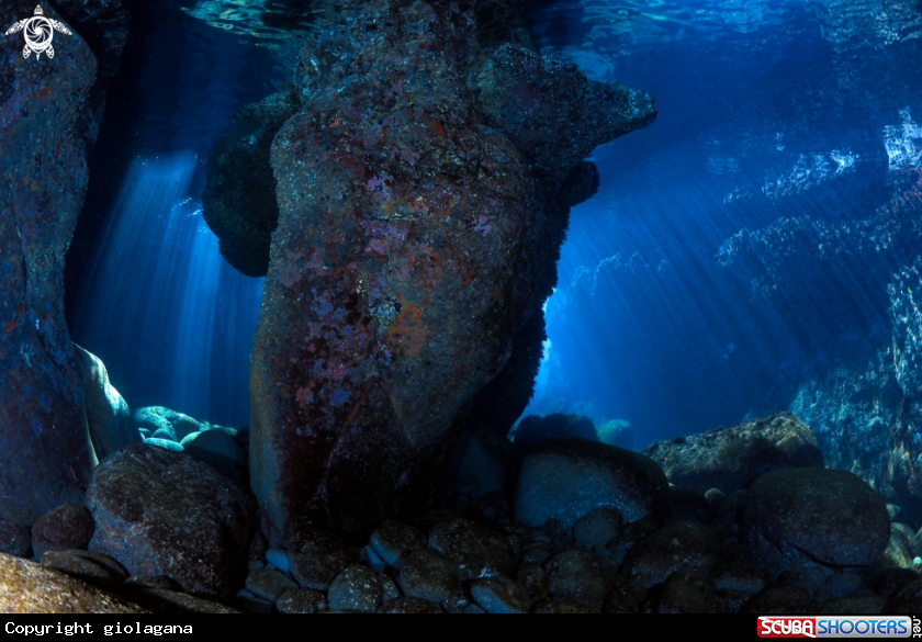 A Le Grotte di Ognina
