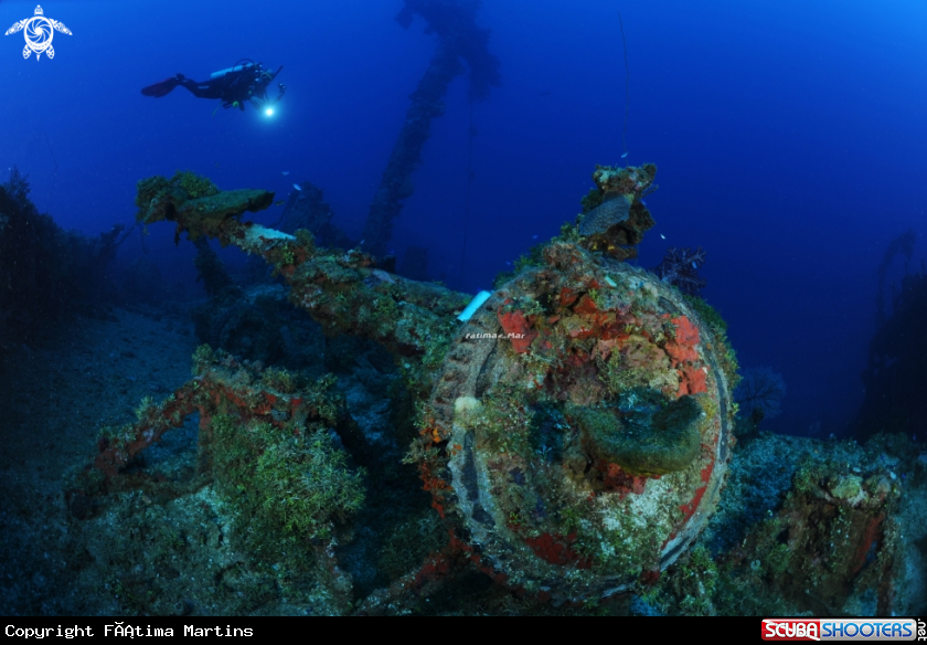 A Nipo Maru
