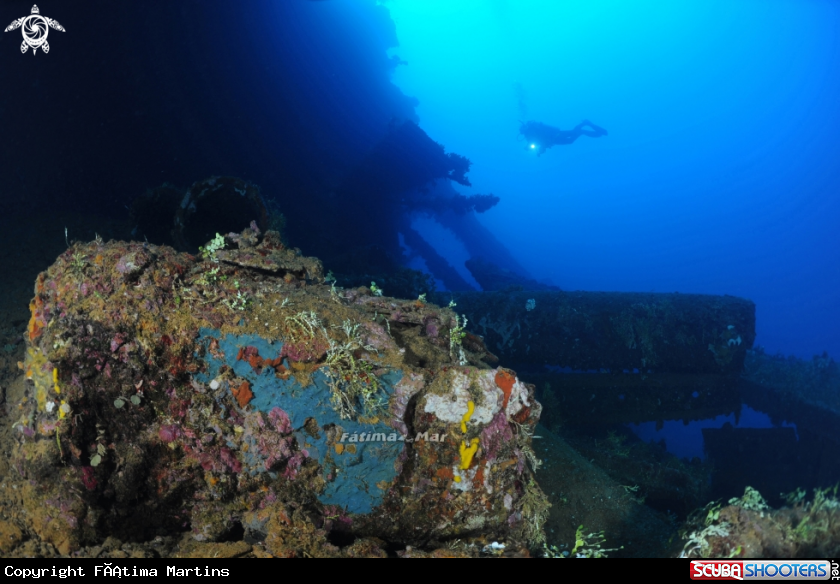 A Gosei Maru