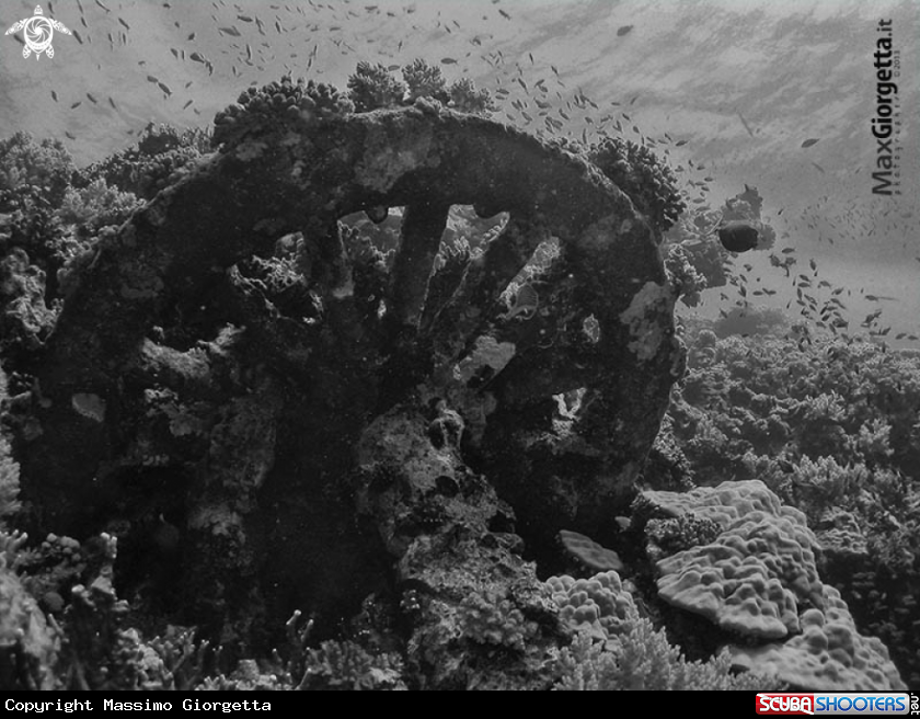 A Numidia wreck