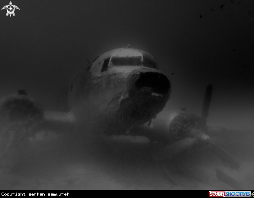 A PLANE WRECK