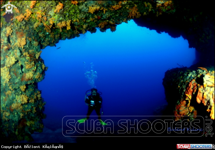 A Caves