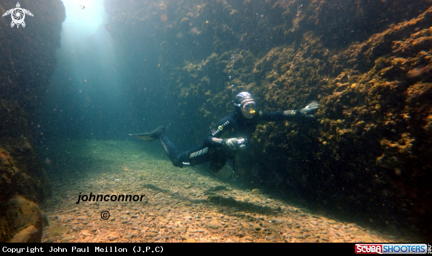 A Freediving
