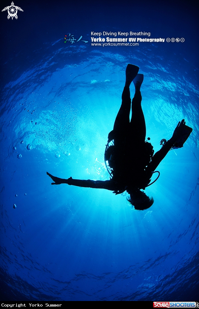 A Diver