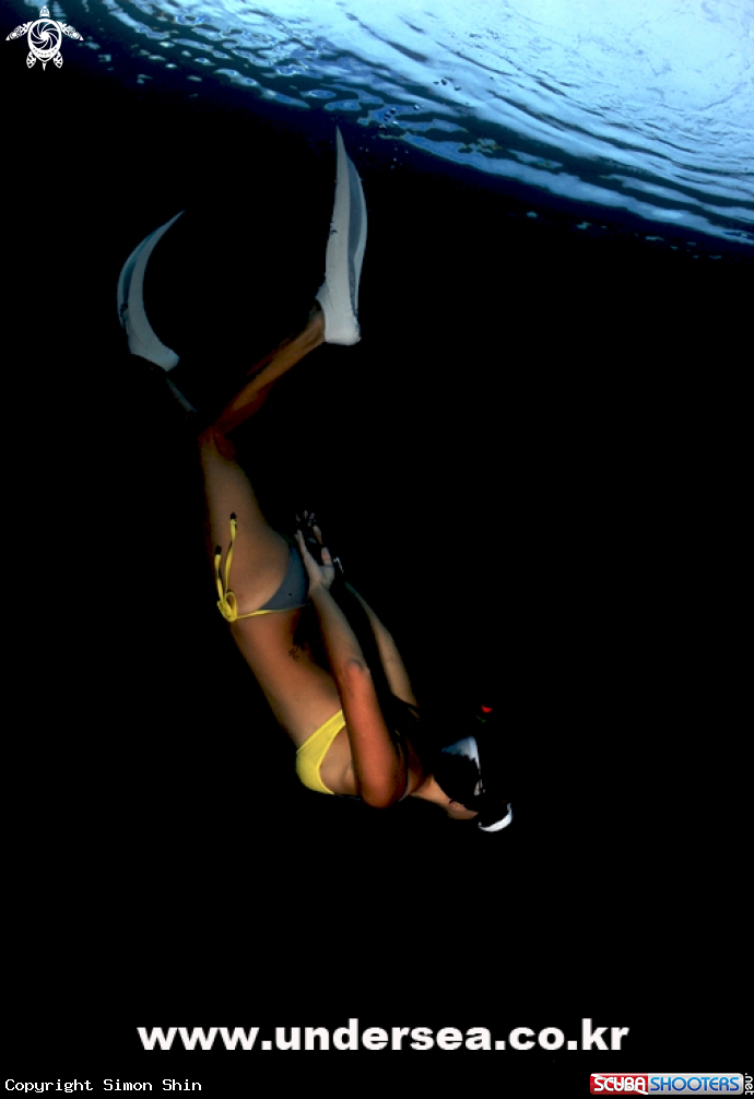 A diver