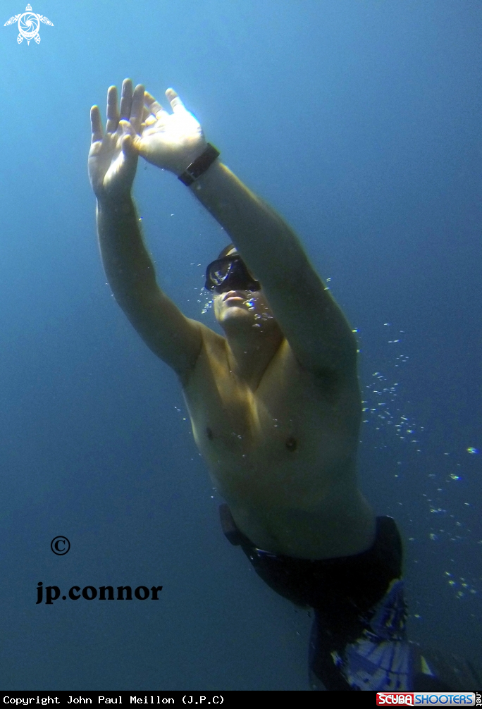 A Freediving