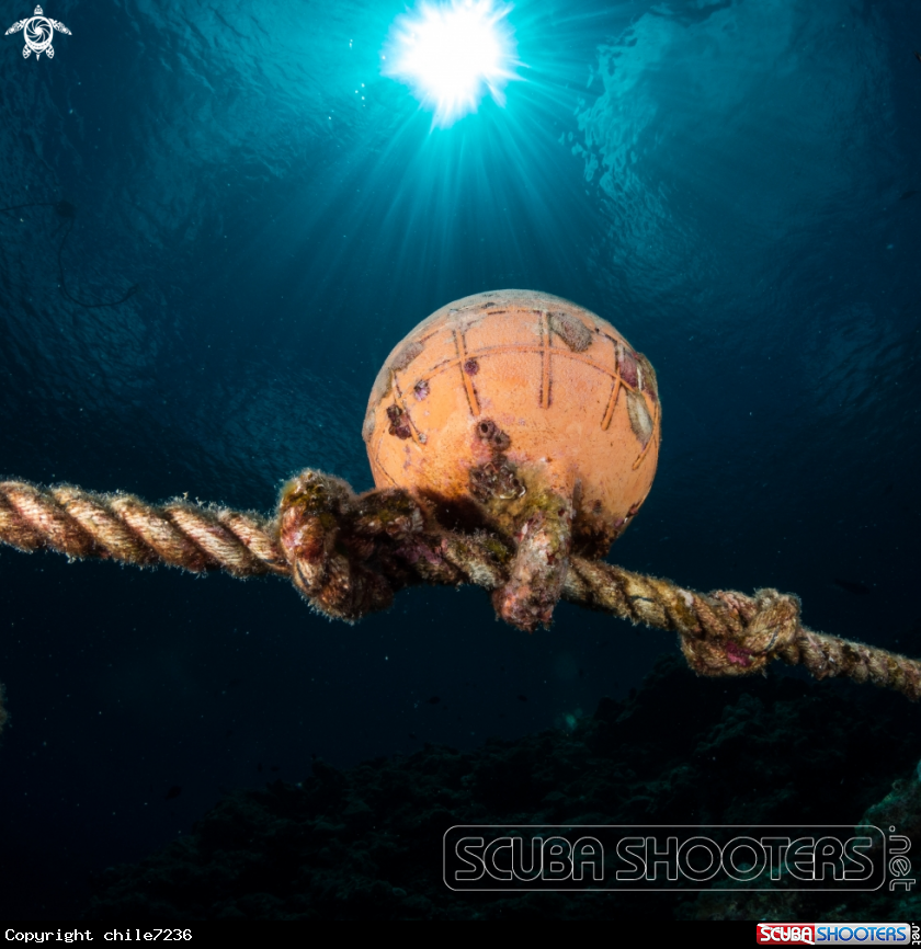 A buoy