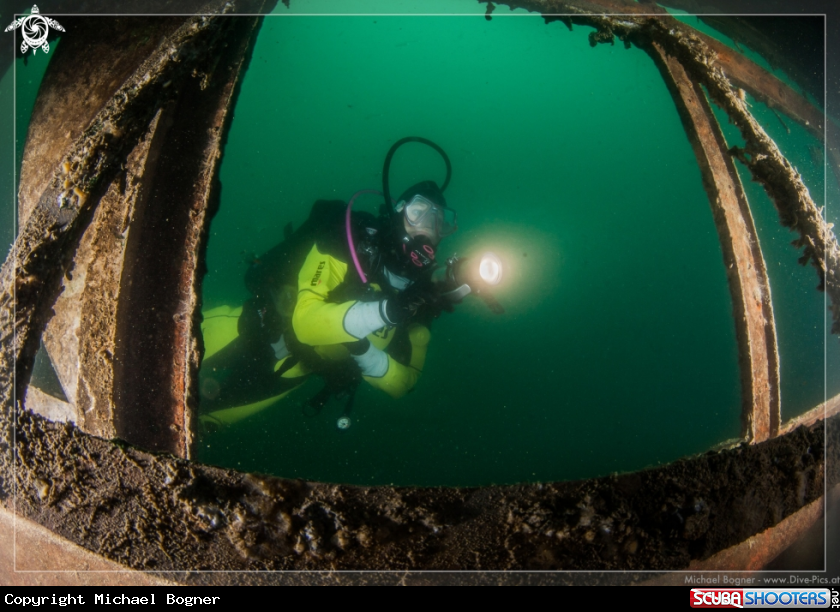 A underwater creature