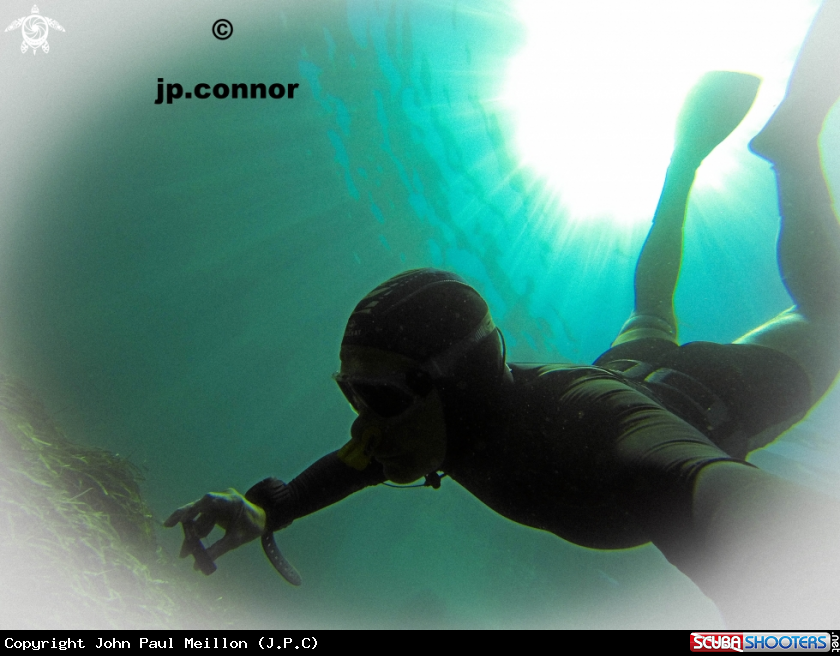 A Freediving