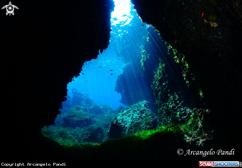 A Grotta Giannutri