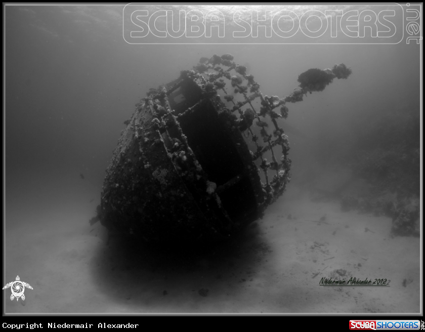 A underwater creature