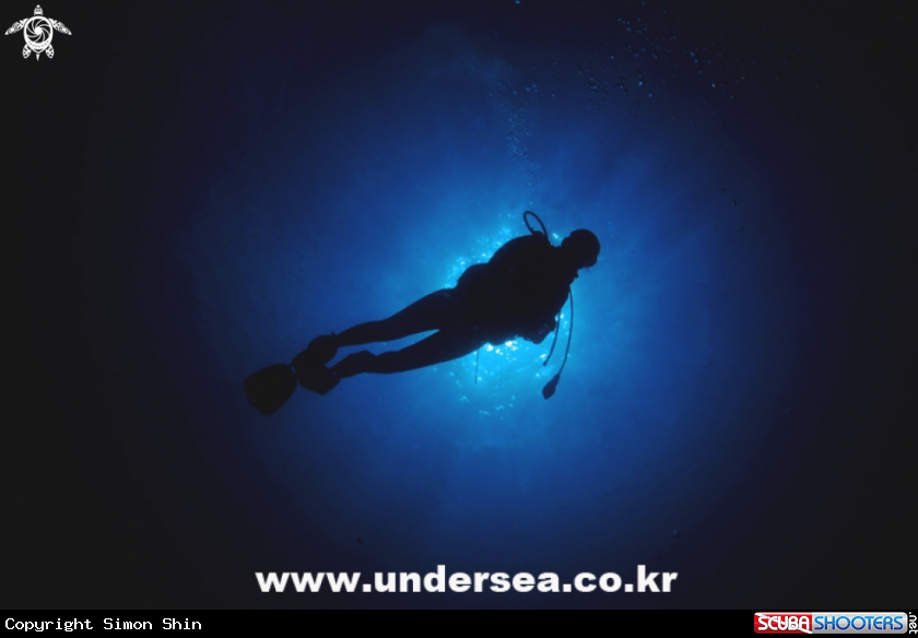 A diver