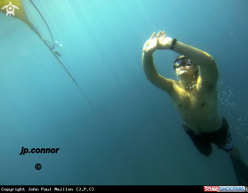 A Freediving