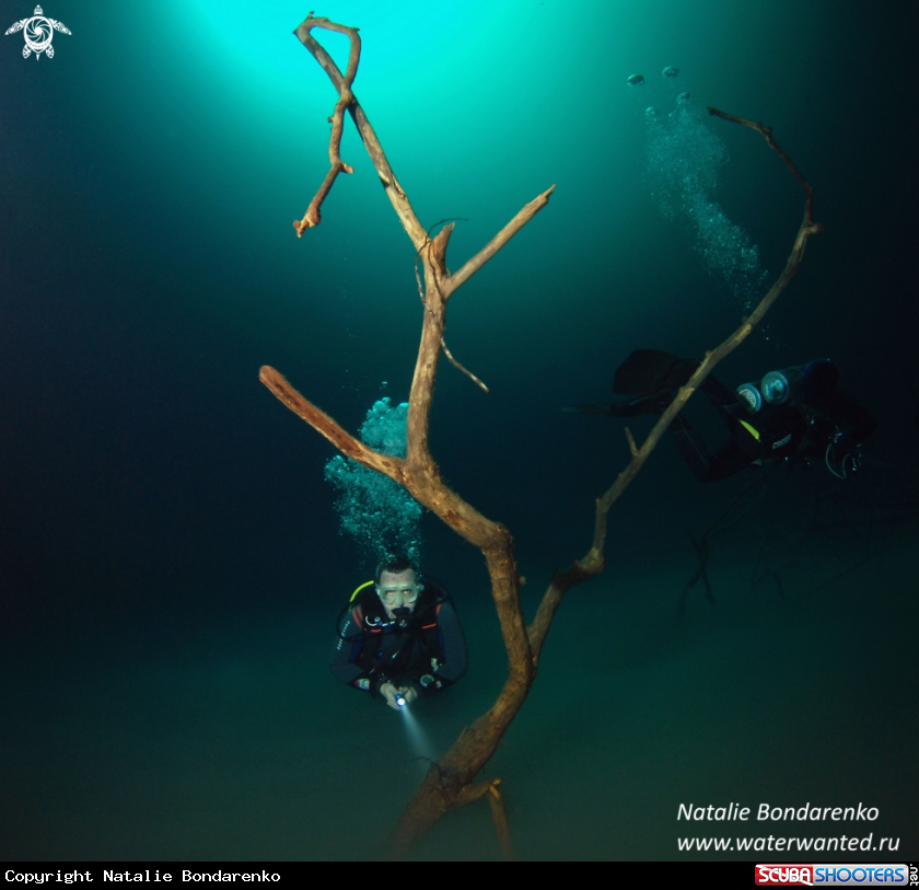 A Cenote Angelita
