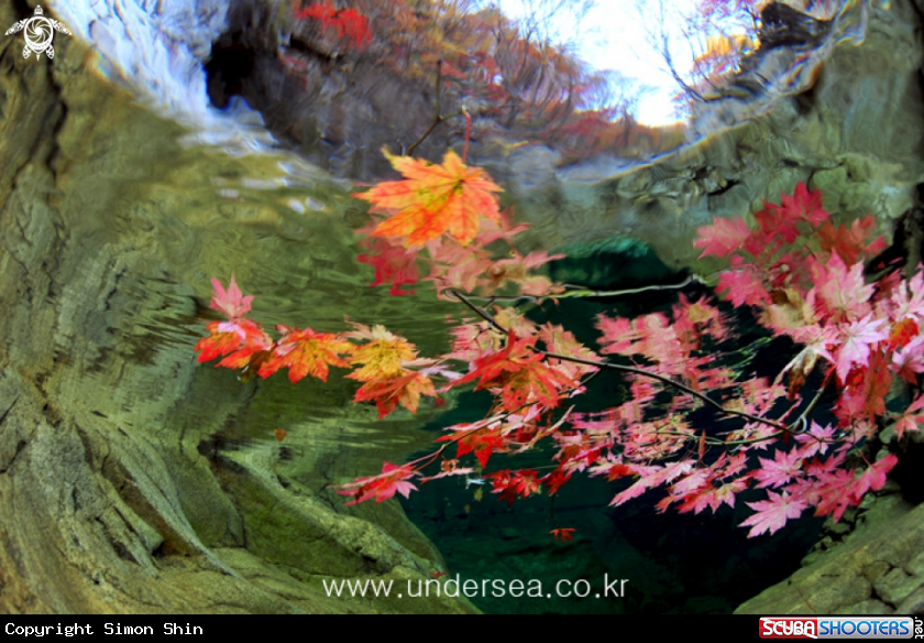 A into the Autumn