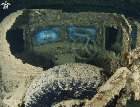 A Underwater Colors