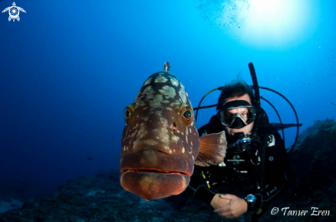 A Grouper