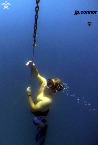 A Freediving