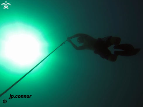 A Freediving