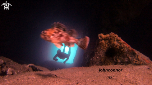 A Freediving Cave