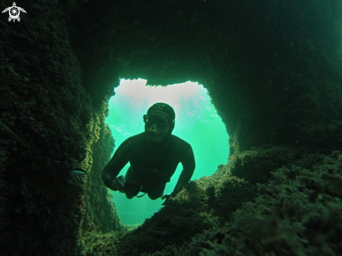 A Freediving Arche