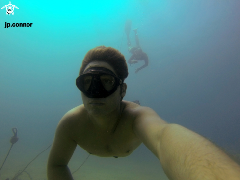 A Freediving