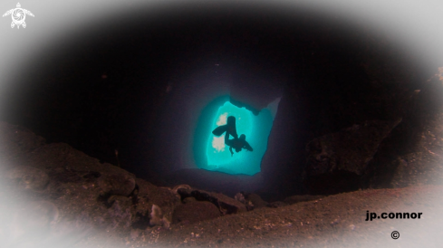 A Freediving Cave