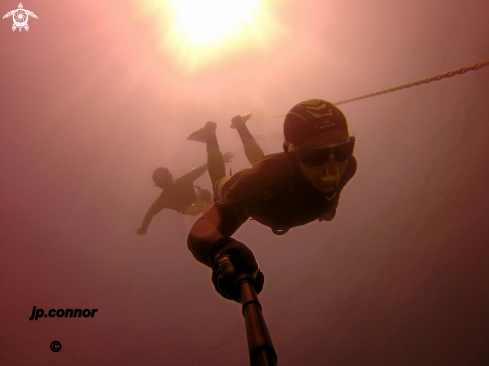 A Freediving