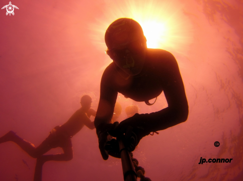 A Freediving