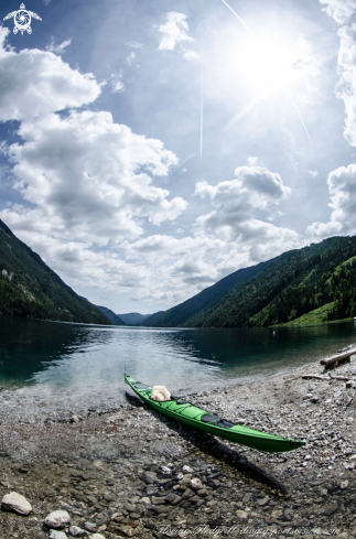 A Esox lucius | Pike Weissensee