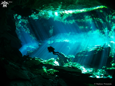 A Cenote