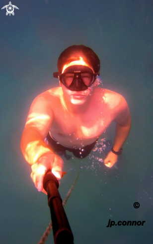 A Freediving