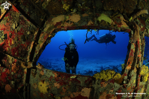 A Just enjoy the beauty of Diving