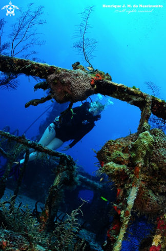 A Homo sapiens | Just enjoy the beauty of Diving