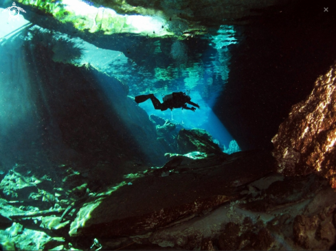 A Cenote Chac Mool | Cenote Chac Mool