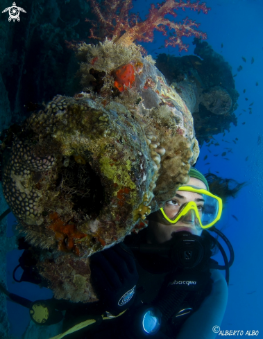 A Cañon de popa del THISTLEGORM